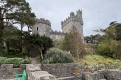 IMG_6252