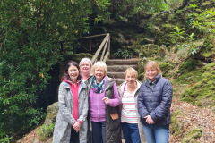 Tollymore-3